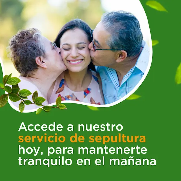 asesoría personalizada | precios económicos | cómodos